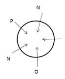 Circule 1