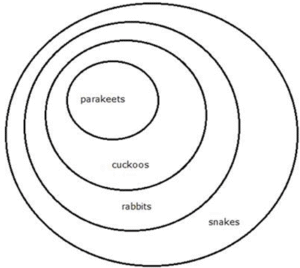Syllogism 