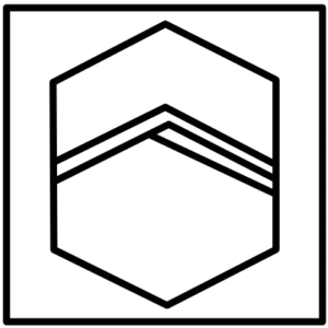 Answer Shape B