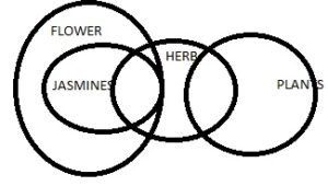 Syllogism