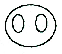 Venn Diagram Section D